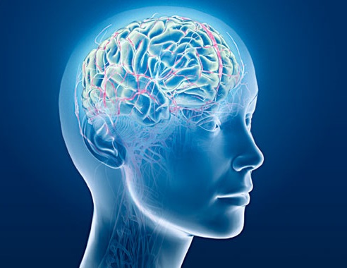 pills for brain booster